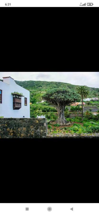 Mireya Home Icod De Los Vinos Ngoại thất bức ảnh
